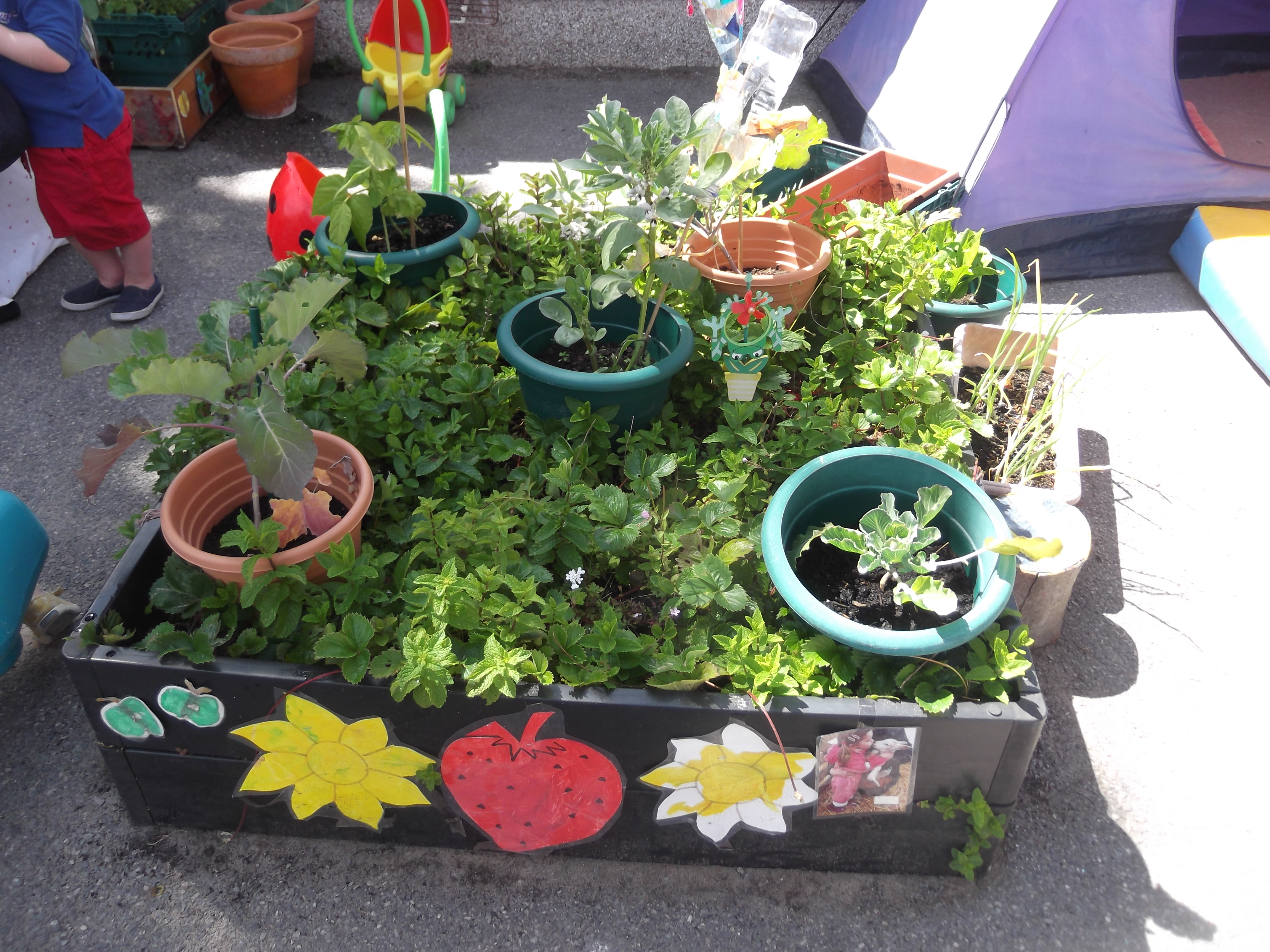 Garden in bloom competition – Huge success!